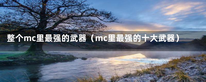 整个mc里最强的武器（mc里最强的十大武器）