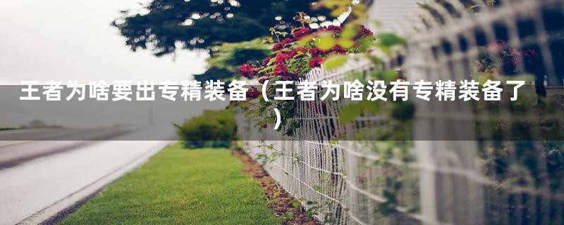 王者为啥要出专精装备(王者为啥没有专精装备了)