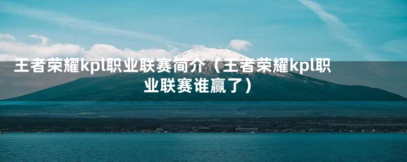 王者荣耀kpl职业联赛简介(王者荣耀kpl职业联赛谁赢了)