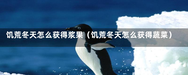 饥荒冬天怎么获得浆果(饥荒冬天怎么获得蔬菜)