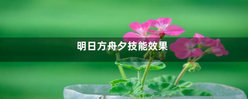 明日方舟夕技能效果