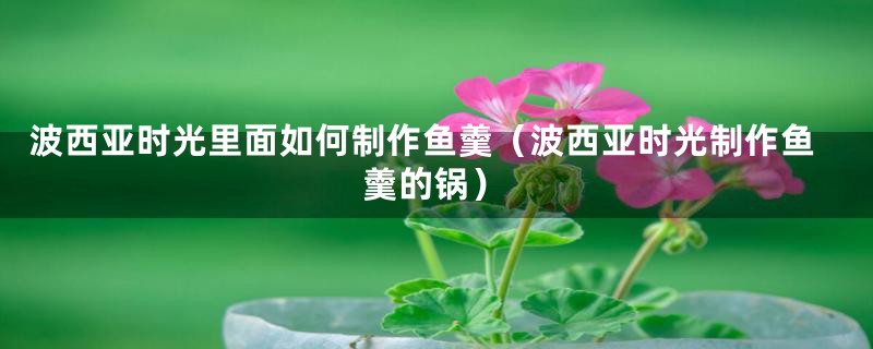 波西亚时光里面如何制作鱼羹（波西亚时光制作鱼羹的锅）