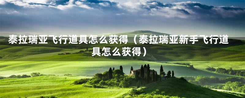 泰拉瑞亚飞行道具怎么获得（泰拉瑞亚新手飞行道具怎么获得）