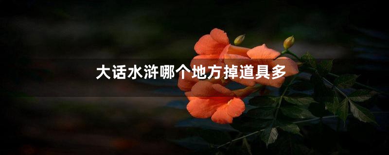 大话水浒哪个地方掉道具多