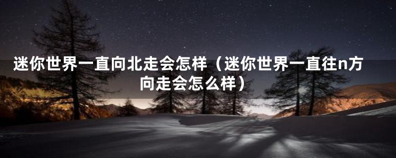 迷你世界一直向北走会怎样（迷你世界一直往n方向走会怎么样）