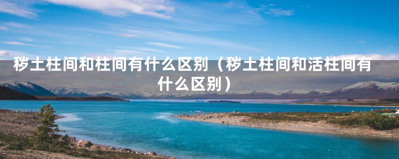 秽土柱间和柱间有什么区别(秽土柱间和活柱间有什么区别)
