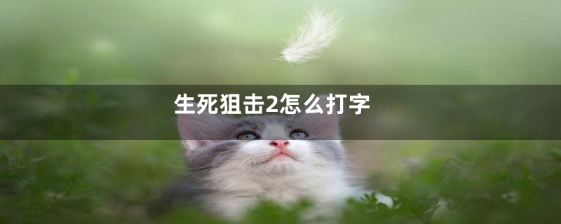生死狙击2怎么打字