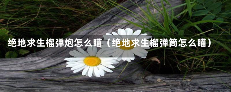 绝地求生榴弹炮怎么瞄(绝地求生榴弹筒怎么瞄)