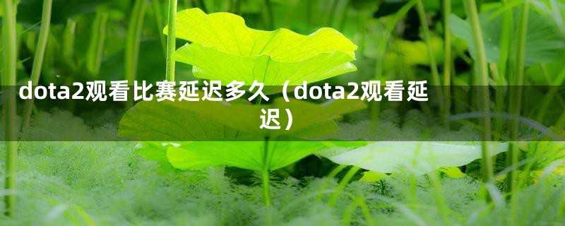 dota2观看比赛延迟多久（dota2观看延迟）