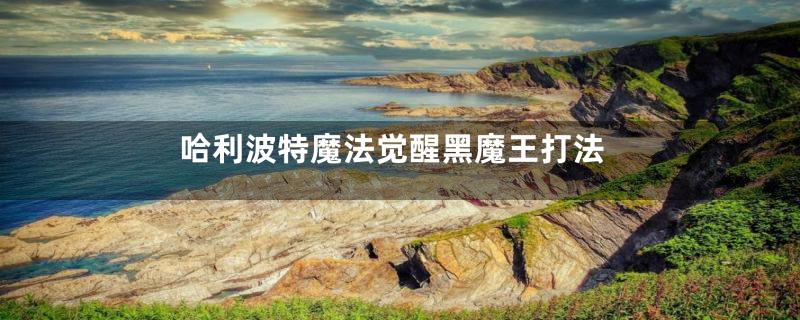 哈利波特魔法觉醒黑魔王打法