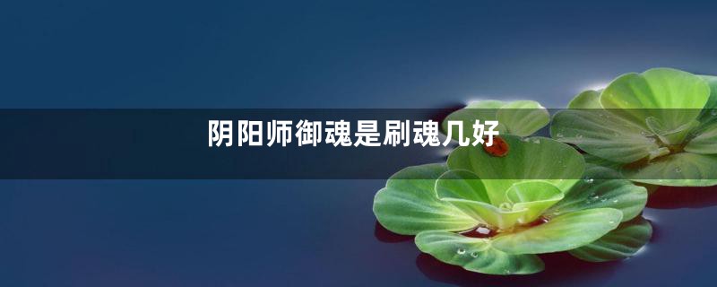 阴阳师御魂是刷魂几好
