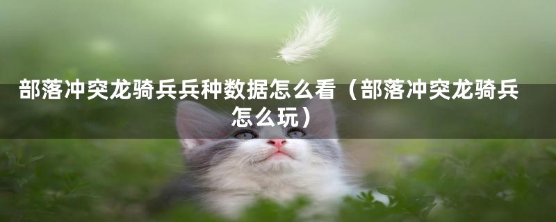 部落冲突龙骑兵兵种数据怎么看（部落冲突龙骑兵怎么玩）