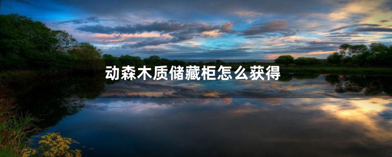 动森木质储藏柜怎么获得