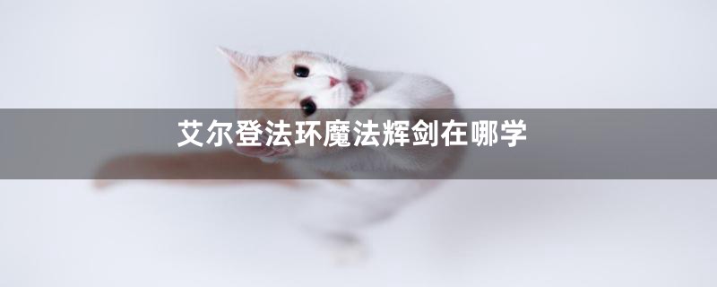 艾尔登法环魔法辉剑在哪学