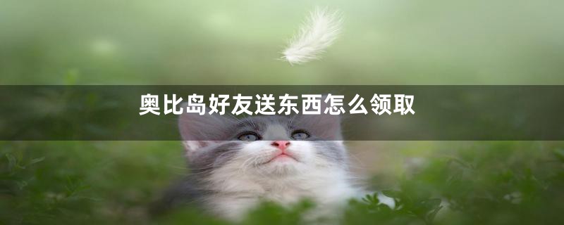 奥比岛好友送东西怎么领取