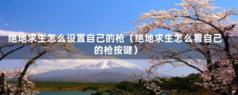绝地求生怎么设置自己的枪（绝地求生怎么看自己的枪按键）
