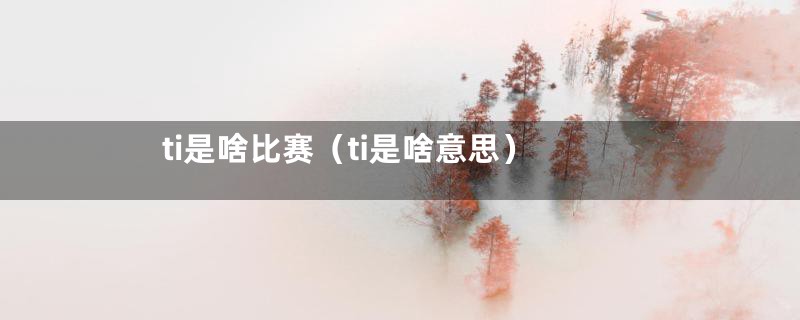 ti是啥比赛(ti是啥意思)