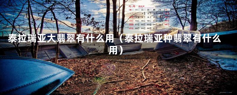 泰拉瑞亚大翡翠有什么用(泰拉瑞亚种翡翠有什么用)