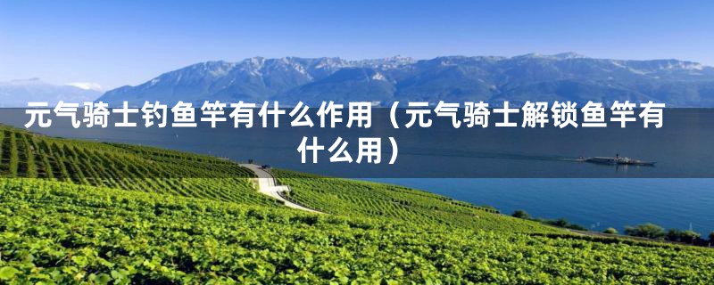 元气骑士钓鱼竿有什么作用(元气骑士解锁鱼竿有什么用)