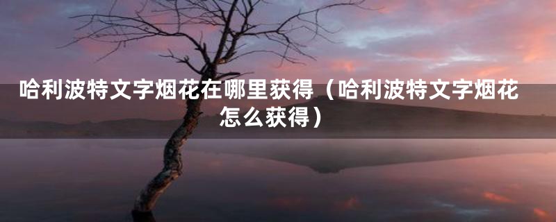 哈利波特文字烟花在哪里获得（哈利波特文字烟花怎么获得）