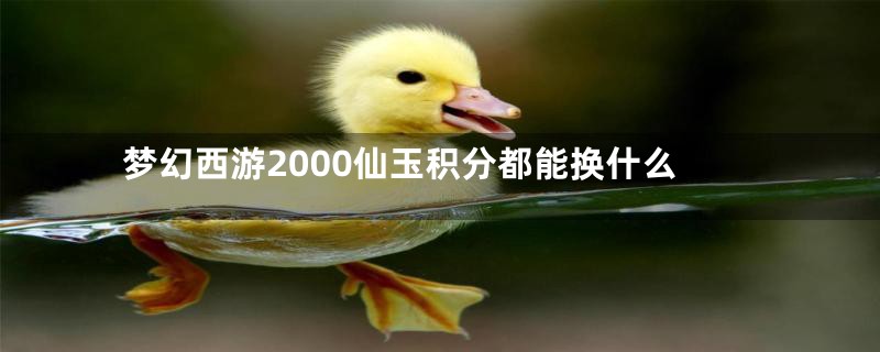 梦幻西游2000仙玉积分都能换什么