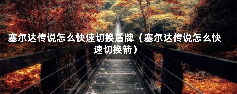 塞尔达传说怎么快速切换盾牌（塞尔达传说怎么快速切换箭）