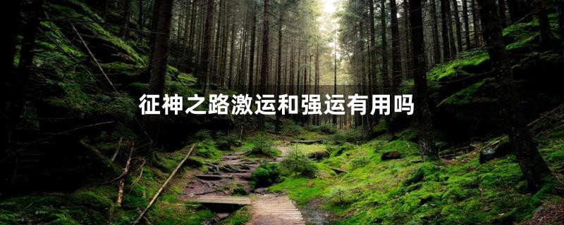 征神之路激运和强运有用吗