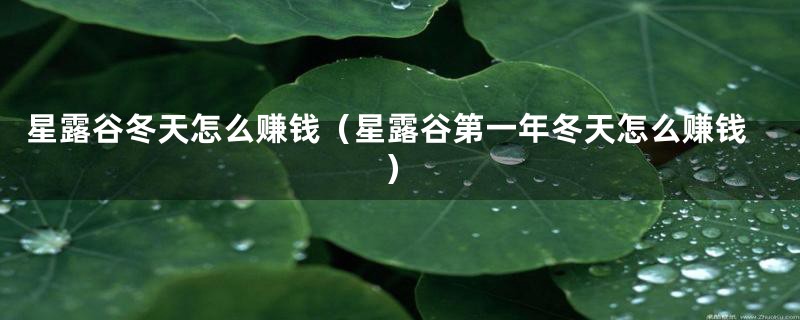 星露谷冬天怎么赚钱(星露谷第一年冬天怎么赚钱)