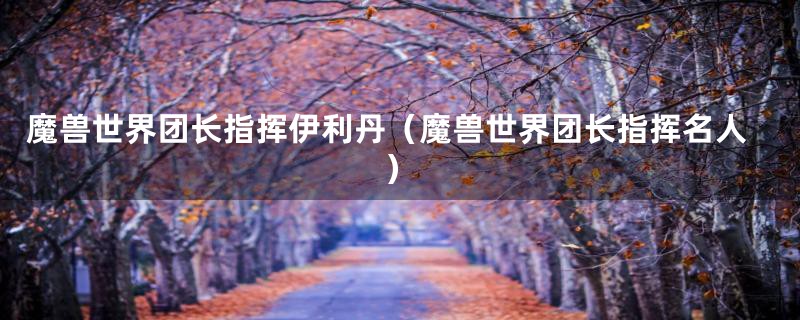 魔兽世界团长指挥伊利丹(魔兽世界团长指挥名人)