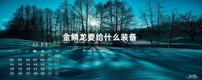 金鳞龙要给什么装备