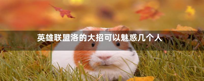 英雄联盟洛的大招可以魅惑几个人