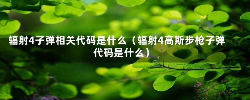 辐射4子弹相关代码是什么(辐射4高斯步枪子弹代码是什么)