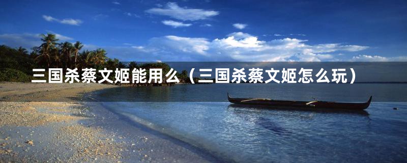 三国杀蔡文姬能用么(三国杀蔡文姬怎么玩)