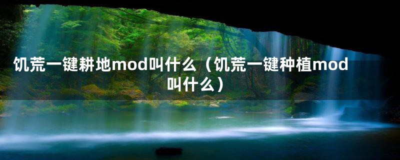 饥荒一键耕地mod叫什么(饥荒一键种植mod叫什么)