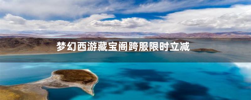 梦幻西游藏宝阁跨服限时立减