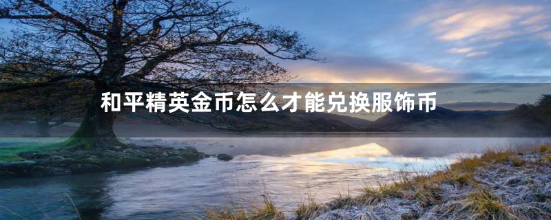 和平精英金币怎么才能兑换服饰币
