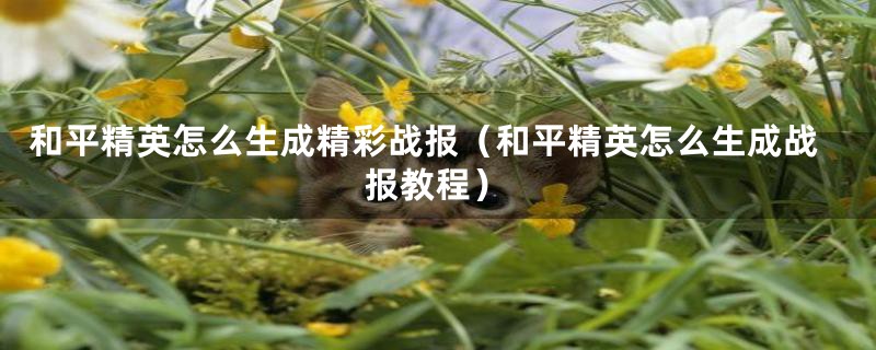 和平精英怎么生成精彩战报(和平精英怎么生成战报教程)