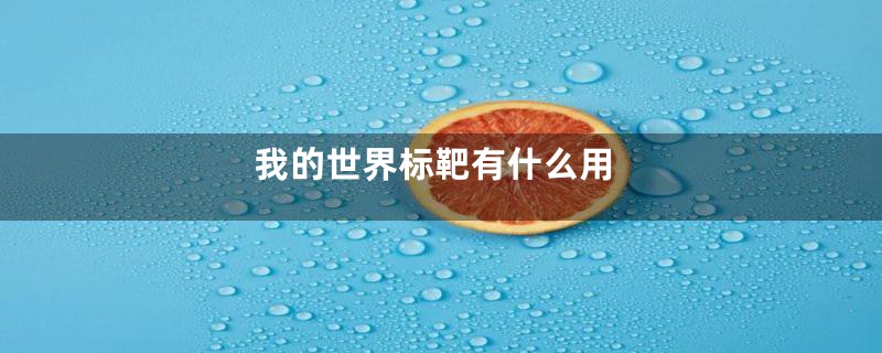 我的世界标靶有什么用