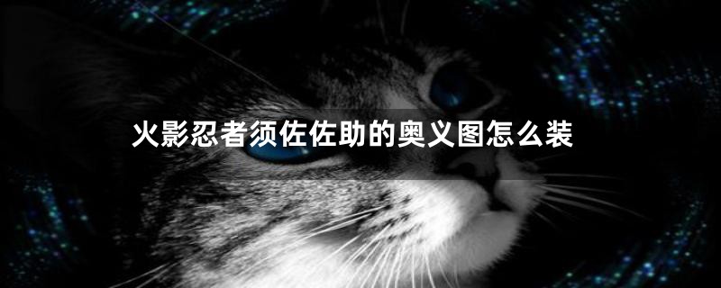 火影忍者须佐佐助的奥义图怎么装