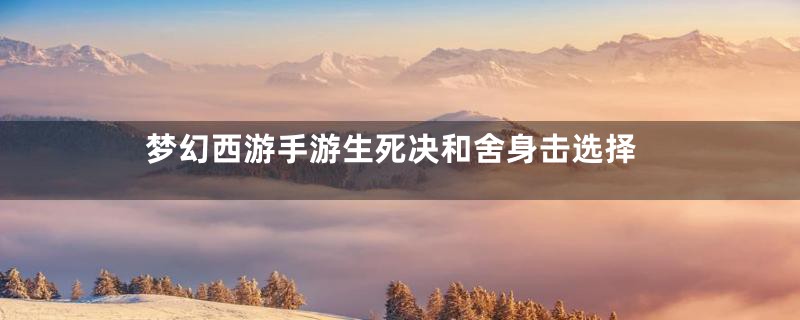 梦幻西游手游生死决和舍身击选择