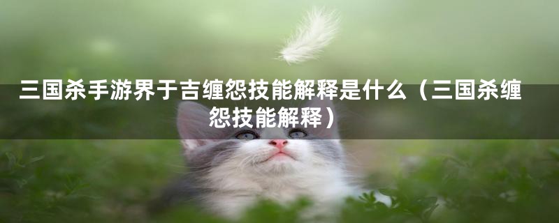 三国杀手游界于吉缠怨技能解释是什么(三国杀缠怨技能解释)