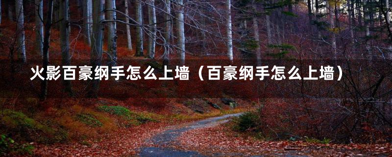 火影百豪纲手怎么上墙(百豪纲手怎么上墙)