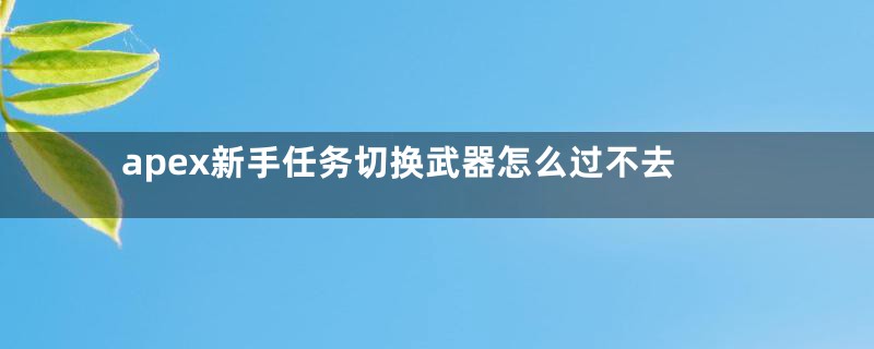 apex新手任务切换武器怎么过不去