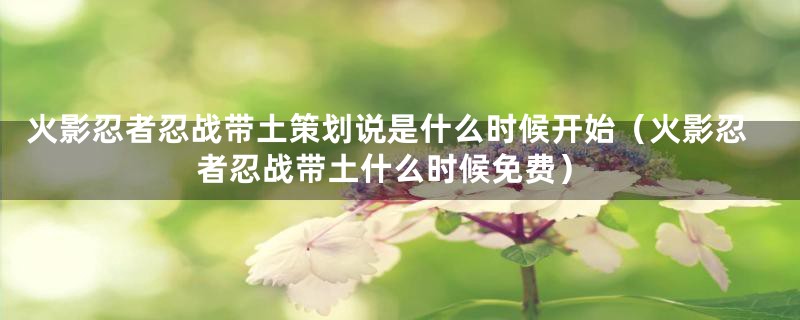 火影忍者忍战带土策划说是什么时候开始(火影忍者忍战带土什么时候免费)