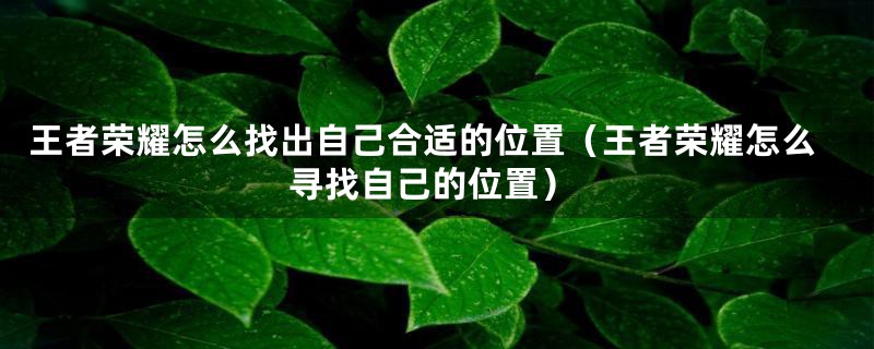 王者荣耀怎么找出自己合适的位置(王者荣耀怎么寻找自己的位置)