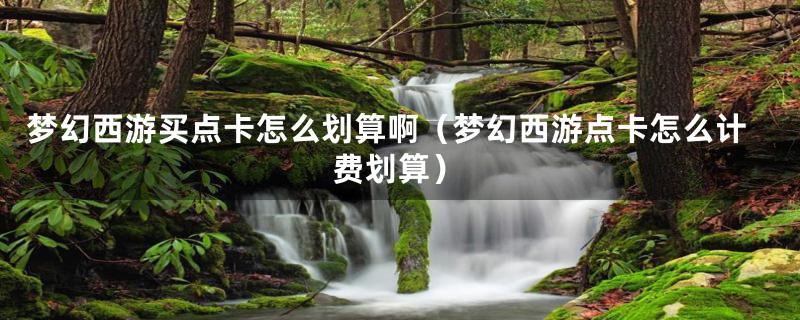 梦幻西游买点卡怎么划算啊(梦幻西游点卡怎么计费划算)