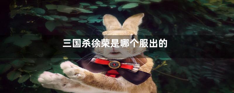 三国杀徐荣是哪个服出的
