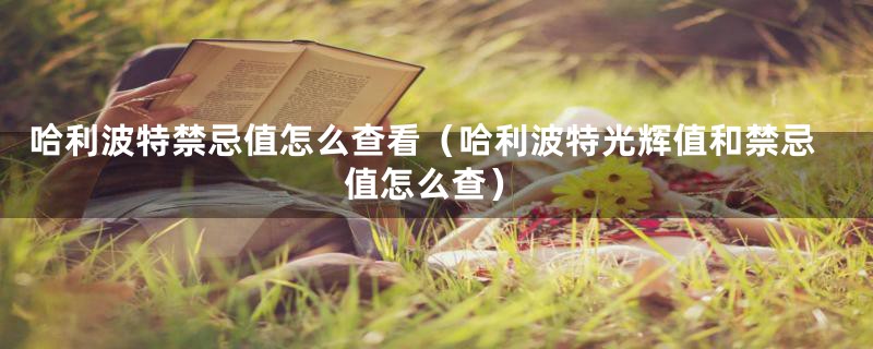 哈利波特禁忌值怎么查看(哈利波特光辉值和禁忌值怎么查)