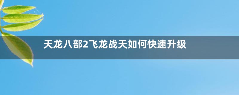 天龙八部2飞龙战天如何快速升级