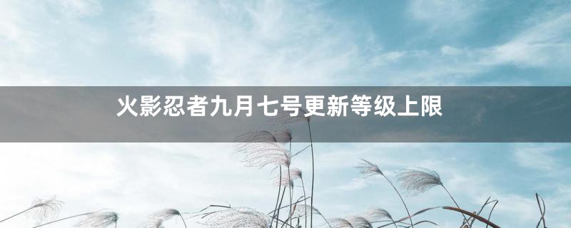 火影忍者九月七号更新等级上限